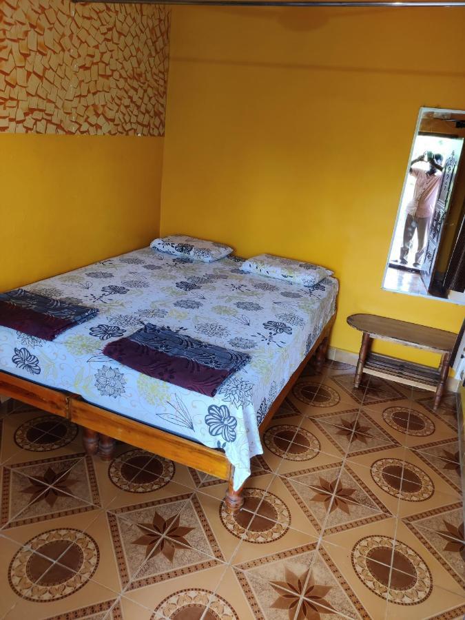 Archana Guest House River View Hampi Rum bild