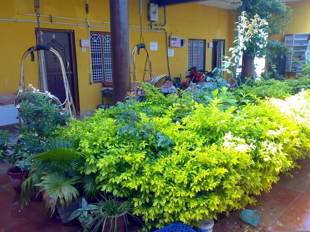 Archana Guest House River View Hampi Exteriör bild